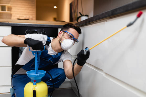 Best Bed Bug Extermination  in Little Rock, AR