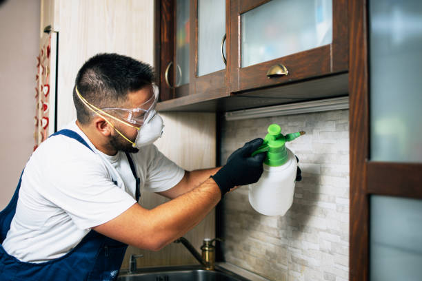 Best Pest Control for Restaurants  in Little Rock, AR