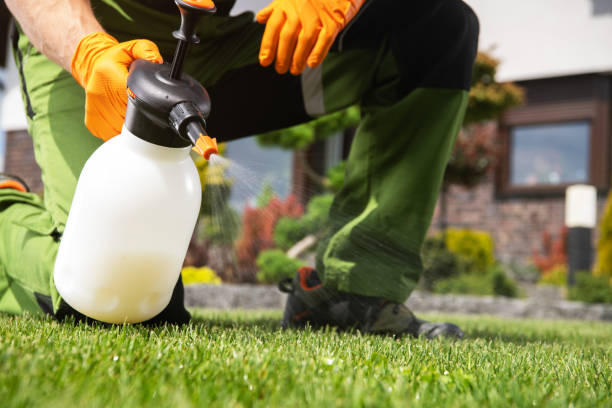 Best Pest Inspection Near Me  in Little Rock, AR