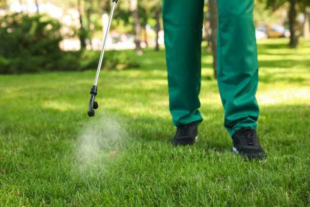  Little Rock, AR Pest Control Pros