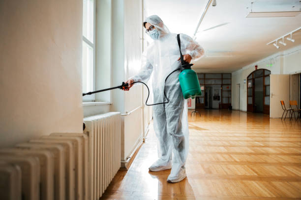 Best Pest Control Near Me  in Little Rock, AR