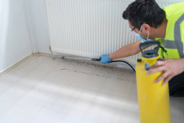 Best Commercial Pest Control Services  in Little Rock, AR