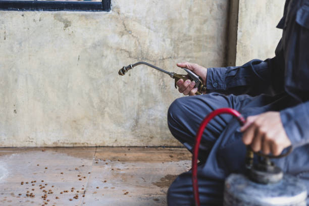 Best Best Pest Control Near Me  in Little Rock, AR